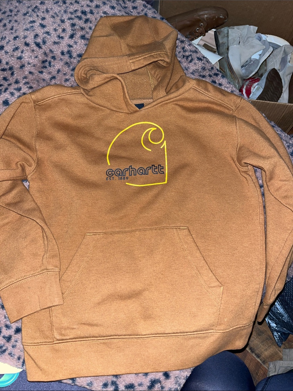 Carhartt Boys Brown Hooded Sweatshirt with Logo